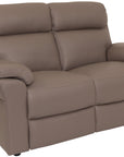 Zafira Taupe Leather static 2 Seater