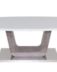 Odyssey - White Glass and Wood Coffee Table
