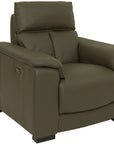 Campbell green Leather Power Recliner
