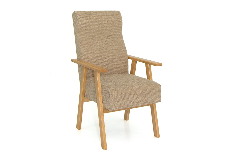 Slaney - Fabric Fire Side Chair