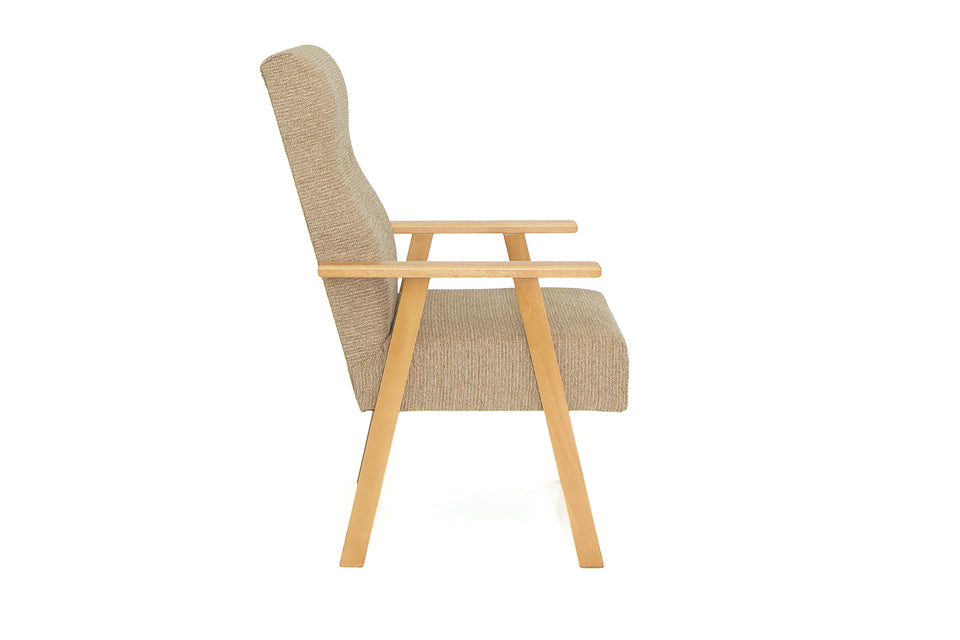 Slaney - Fabric Fire Side Chair